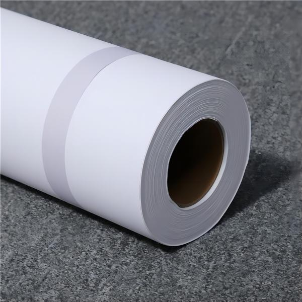 Polyester Canvas Roll By Water-Based Materail Matte-240G
